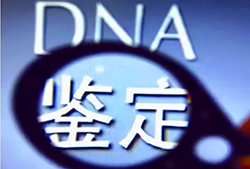 在贺州哪个医院可以做DNA鉴定，贺州医院办理亲子鉴定基本流程
