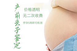 贺州如何做孕期亲子鉴定