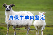 贺州羊类动物鉴定